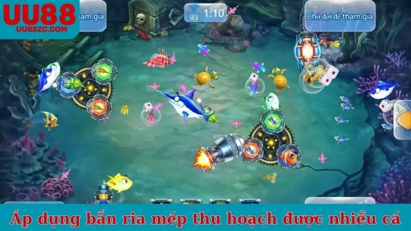 Áp dụng bắn ria mép giúp thu hoạch được nhiều cá