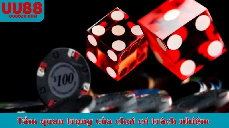 Tầm quan trọng của chơi có trách nhiệm 