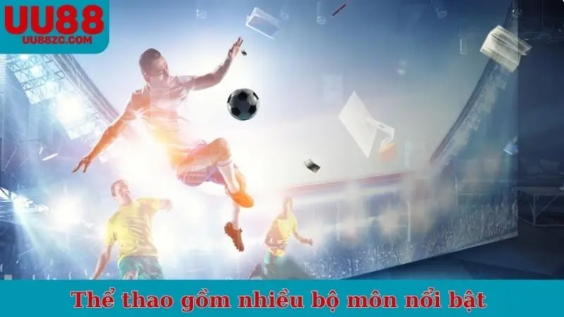 Thể thao gồm nhiều bộ môn nổi bật trên thế giới